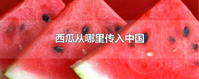 西瓜从哪里传入中国