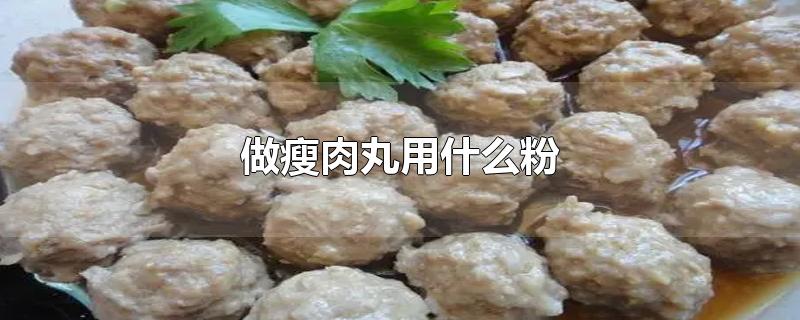 做瘦肉丸用什么粉