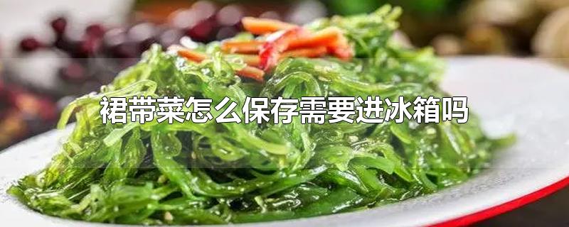 裙带菜怎么保存需要进冰箱吗