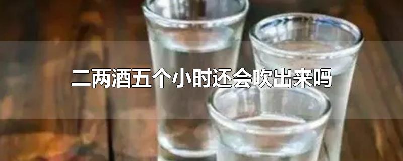 二两酒五个小时还会吹出来吗