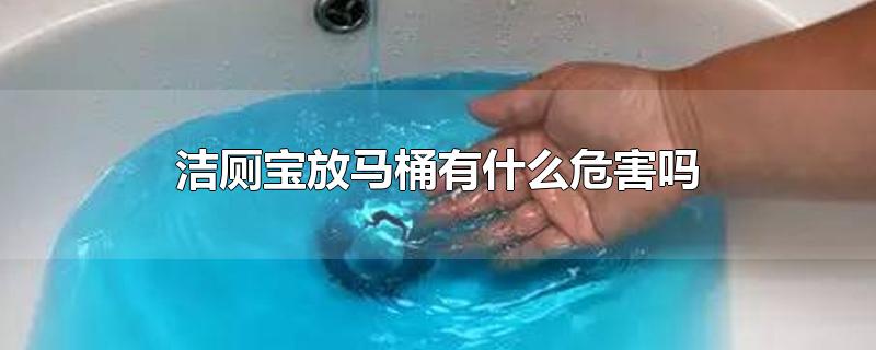 洁厕宝放马桶有什么危害吗