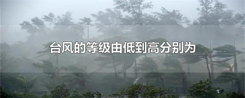 台风的等级由低到高分别为