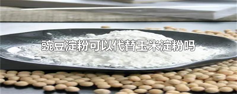 豌豆淀粉可以代替玉米淀粉吗