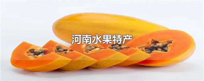 河南水果特产