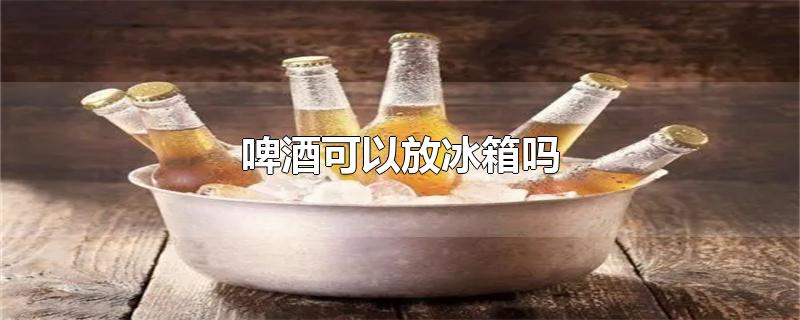 啤酒可以放冰箱吗