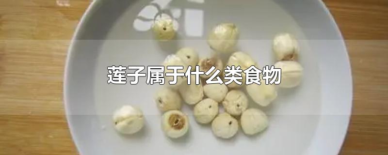 莲子属于什么类食物