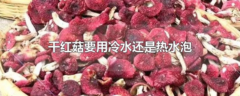 干红菇要用冷水还是热水泡