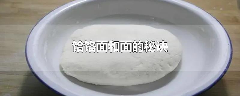 饸饹面和面的秘诀