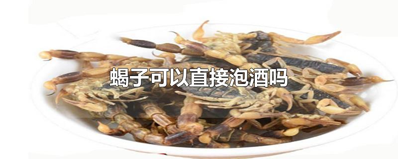 蝎子可以直接泡酒吗