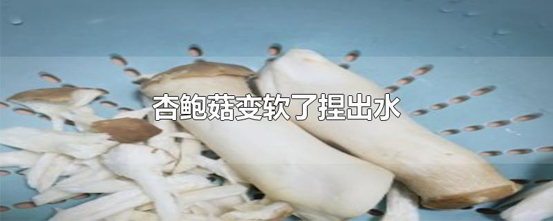 杏鲍菇变软了捏出水