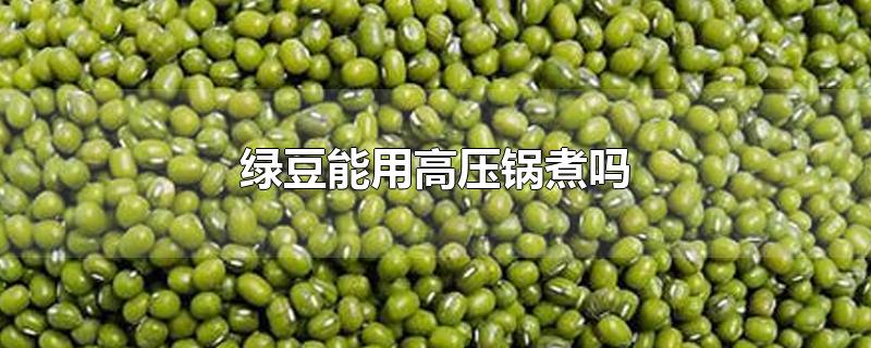 绿豆能用高压锅煮吗