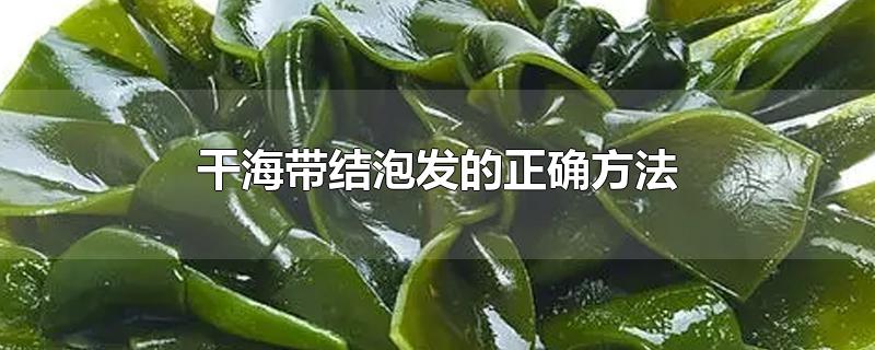 干海带结泡发的正确方法