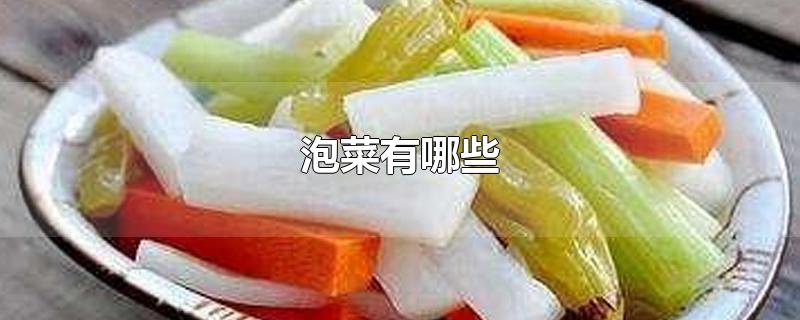 泡菜有哪些