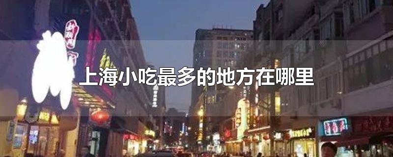 上海小吃最多的地方在哪里