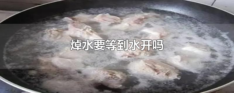 焯水要等到水开吗