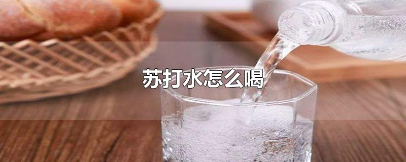 苏打水怎么喝