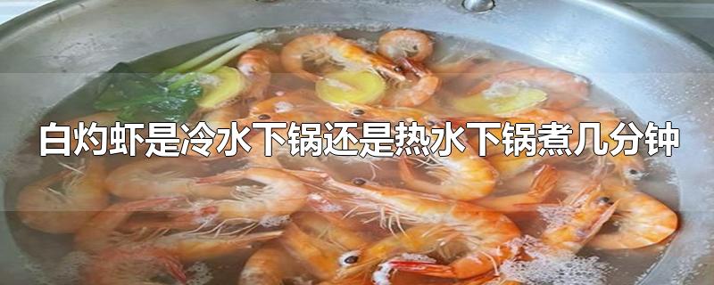 白灼虾是冷水下锅还是热水下锅煮几分钟