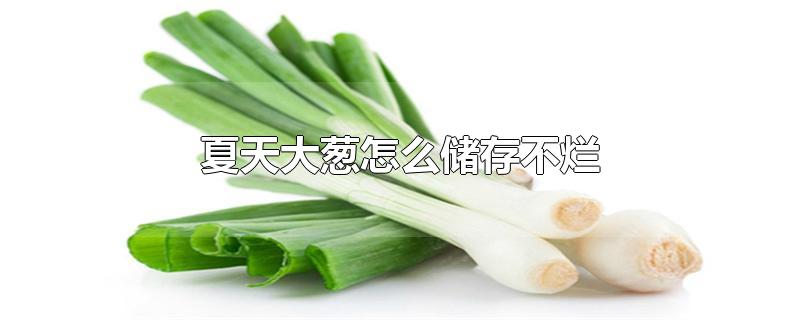 夏天大葱怎么储存不烂