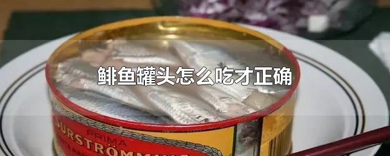 鲱鱼罐头怎么吃才正确