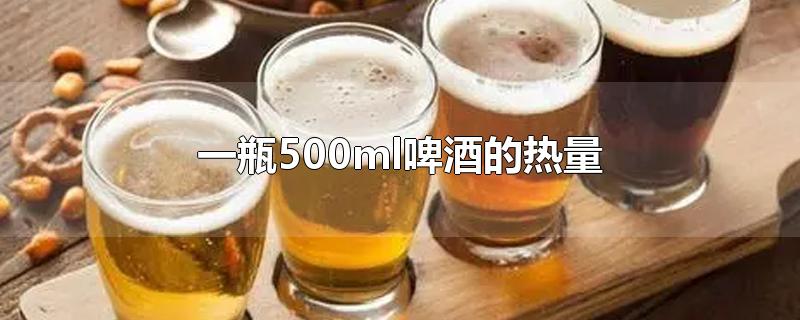 一瓶500ml啤酒的热量