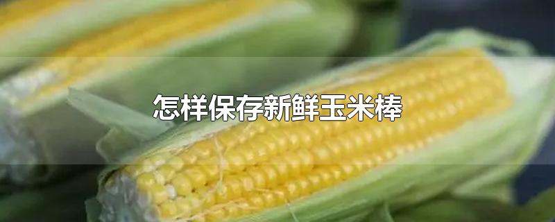 怎样保存新鲜玉米棒