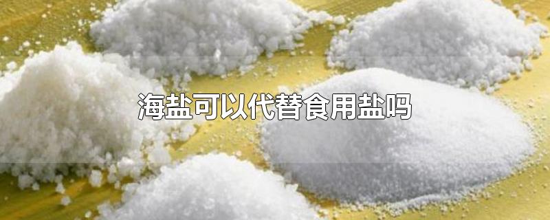 海盐可以代替食用盐吗