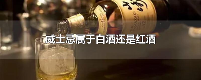 威士忌属于白酒还是红酒