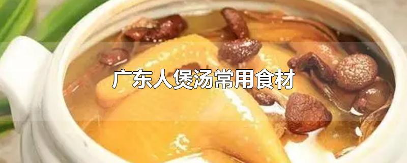 广东人煲汤常用食材