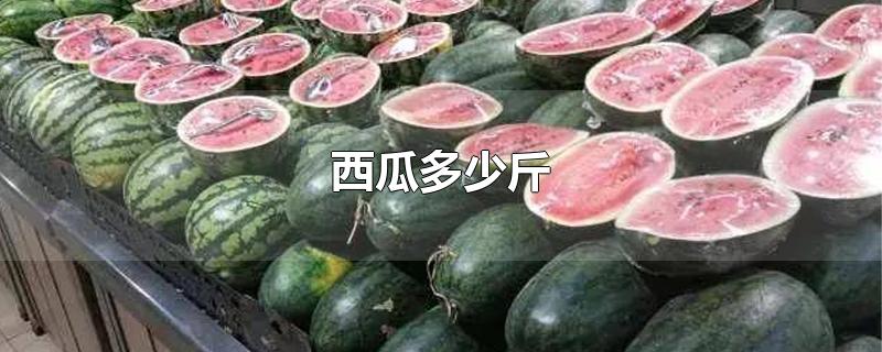 西瓜多少斤