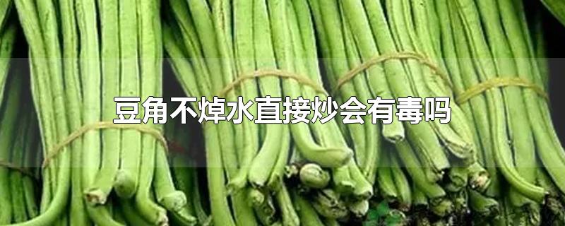 豆角不焯水直接炒会有毒吗