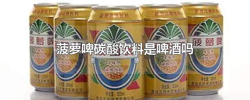 菠萝啤碳酸饮料是啤酒吗