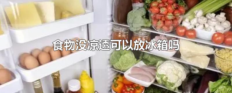 食物没凉透可以放冰箱吗