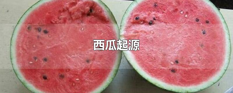 西瓜起源