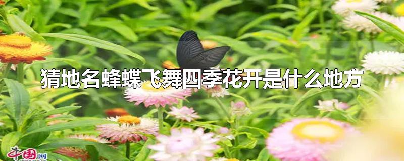 猜地名蜂蝶飞舞四季花开是什么地方