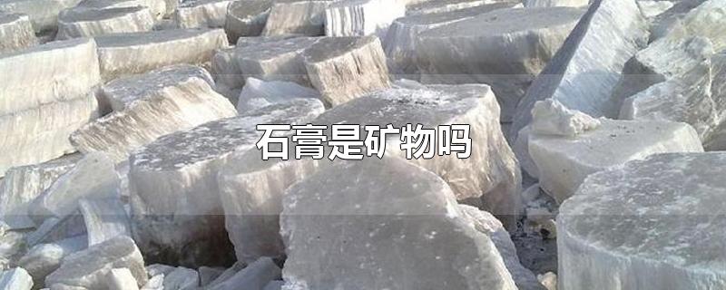 石膏是矿物吗