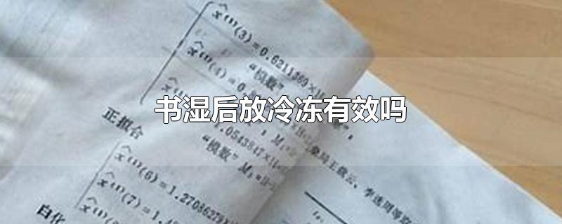 书湿后放冷冻有效吗