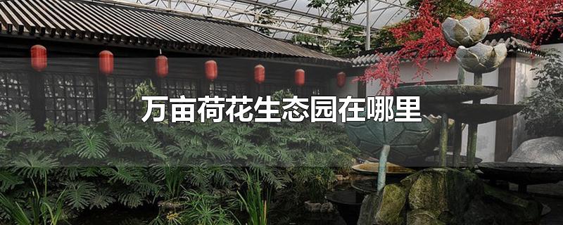 万亩荷花生态园在哪里