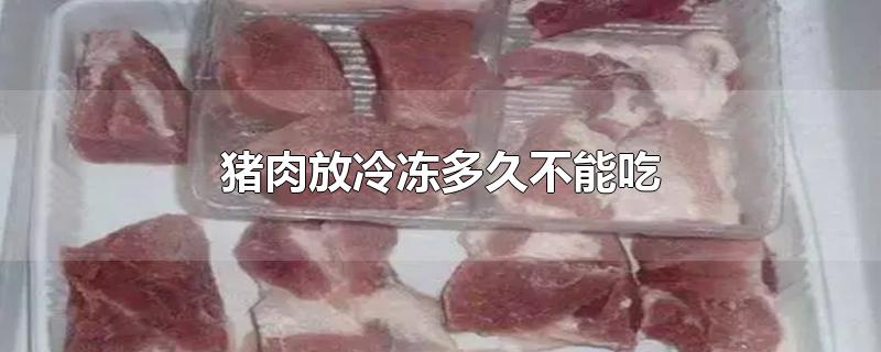 猪肉放冷冻多久不能吃