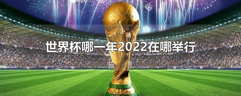 世界杯哪一年2022在哪举行