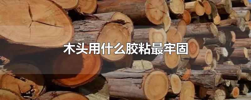 木头用什么胶粘最牢固