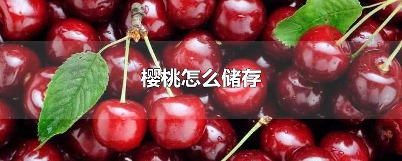 樱桃怎么储存