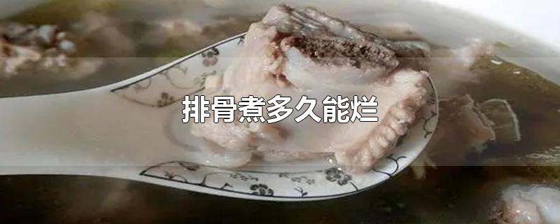 排骨煮多久能烂