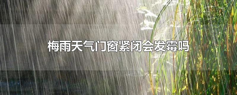 梅雨天气门窗紧闭会发霉吗