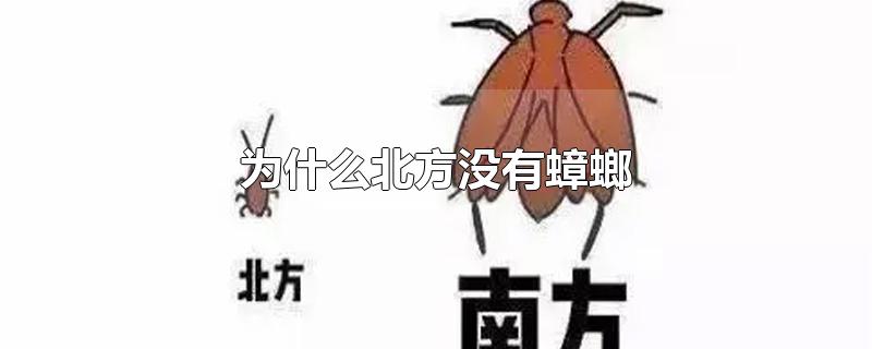 为什么北方没有蟑螂