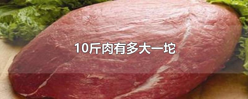 10斤肉有多大一坨