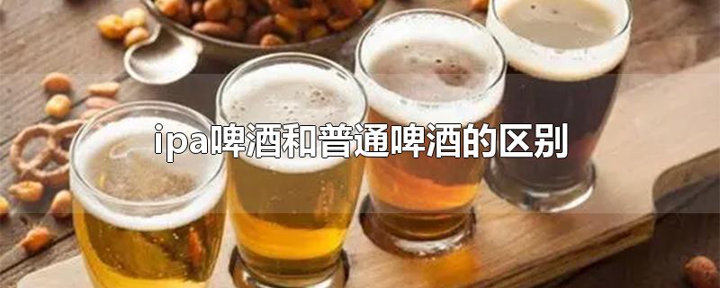 ipa啤酒和普通啤酒的区别