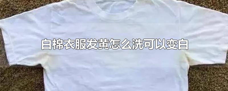 白棉衣服发黄怎么洗可以变白