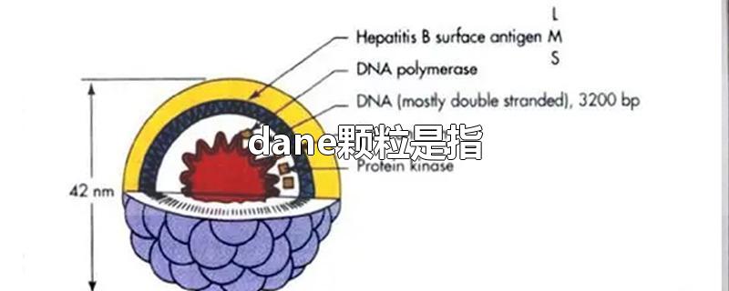 dane颗粒是指