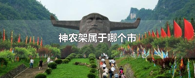 神农架属于哪个市