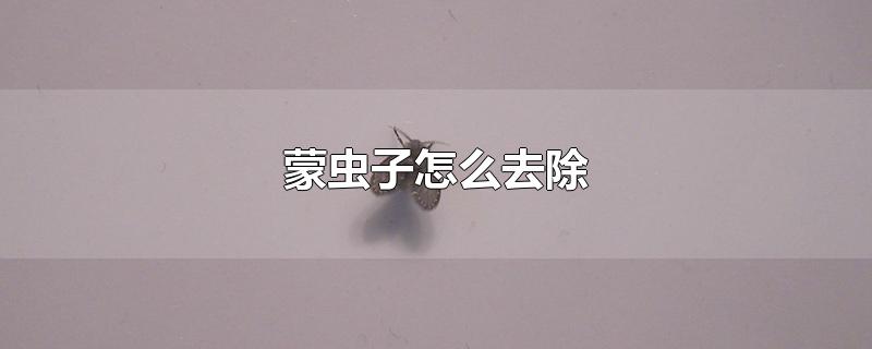 蒙虫子怎么去除